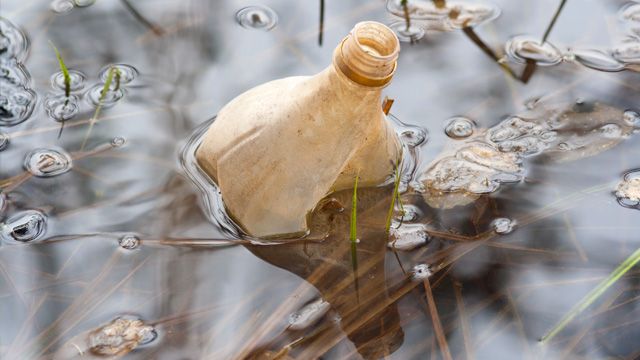 Пластиковая бутылка как экологическая катастрофа