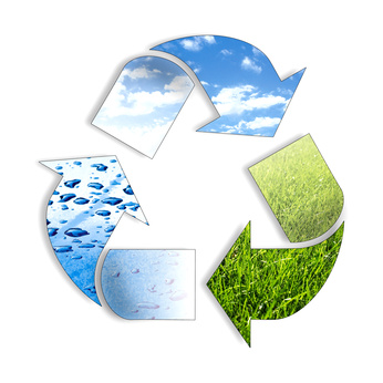 Эмблема общества защиты окружающей среды